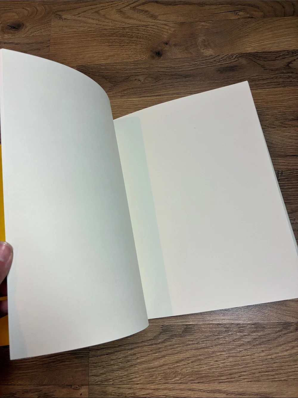 Vintage Hallmark Album My Junkbook As Is